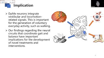 Talk: Modulation of deep mesencephalic nucleus to locomotor control in walking monkey