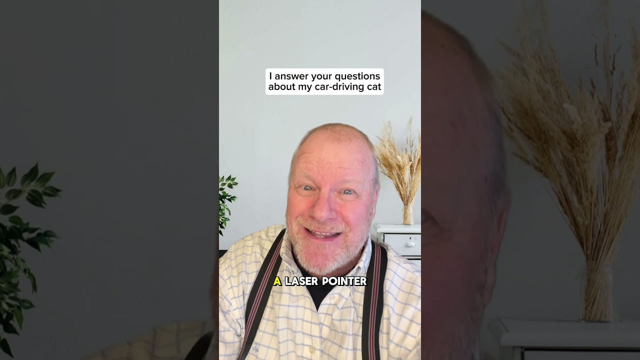 I answer your questions about my car-driving cat. 