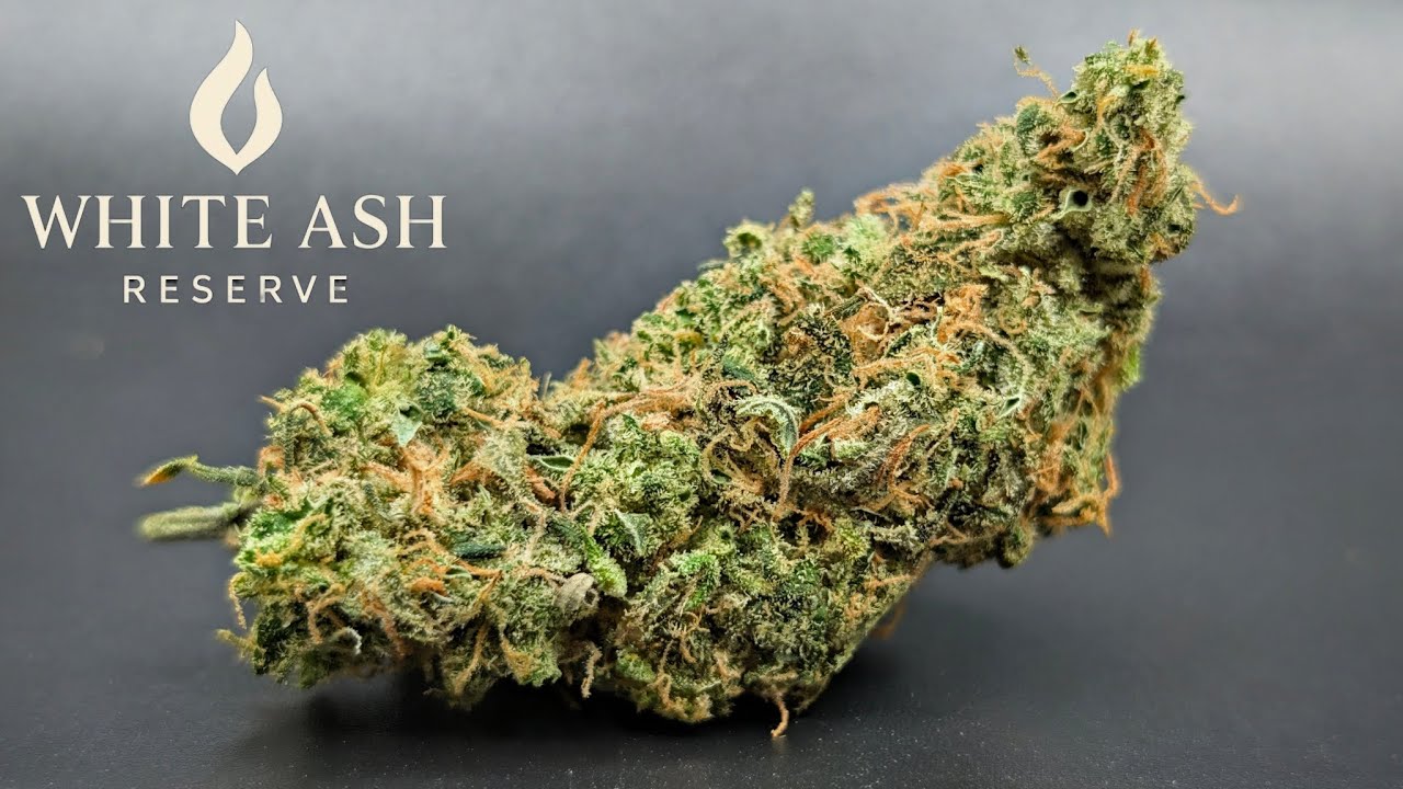 THCa Golden pineapples WAR