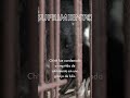 El rescate de Chinh