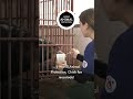 El rescate de Chinh