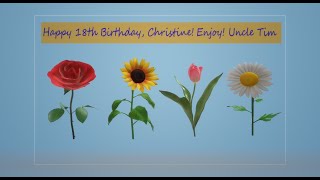 Happy 18th Birthday, Christine! Enjoy your special day!
