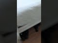 I Ve Found Where The Blankets Went Wifeandhusbandrelationship Funnyshorts 