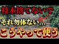 【枝木利用】剪定した枝はこう使う！！それまだ捨ててるの？私たちは畑で〇〇に使います。