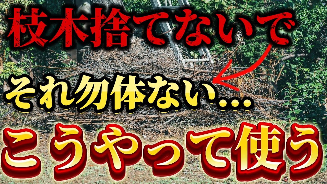 How to use branches] How to use pruned branches! Are you still