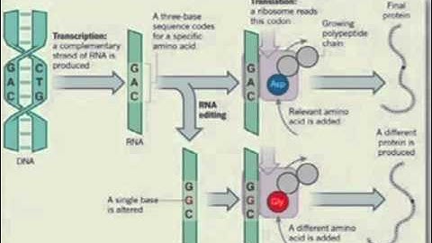 L08-3 RNA-seq III - NGS lecture series 2011