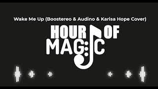 Wake Me Up (Boostereo & Audino & Karisa Hope Cover) 1 HOUR