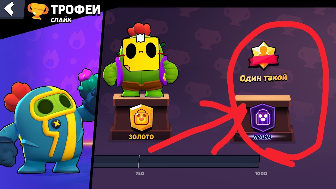 Путь до прайма на спайке 1 серия апнул бронзовый прайм.