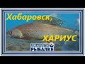 Диалоги о рыбалке - 086 / Хабаровск. Хариус