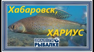 Диалоги о рыбалке - 086 / Хабаровск. Хариус