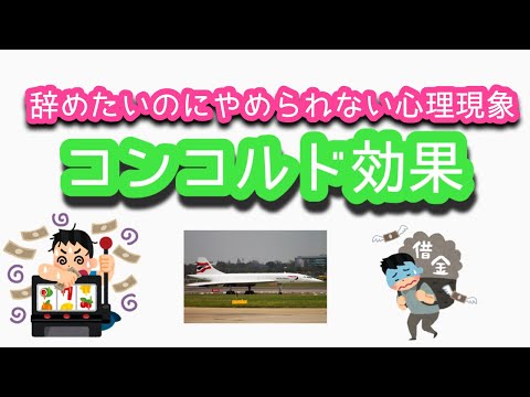 やめたいのに辞められない！心理学用語コンコルド効果について解説！