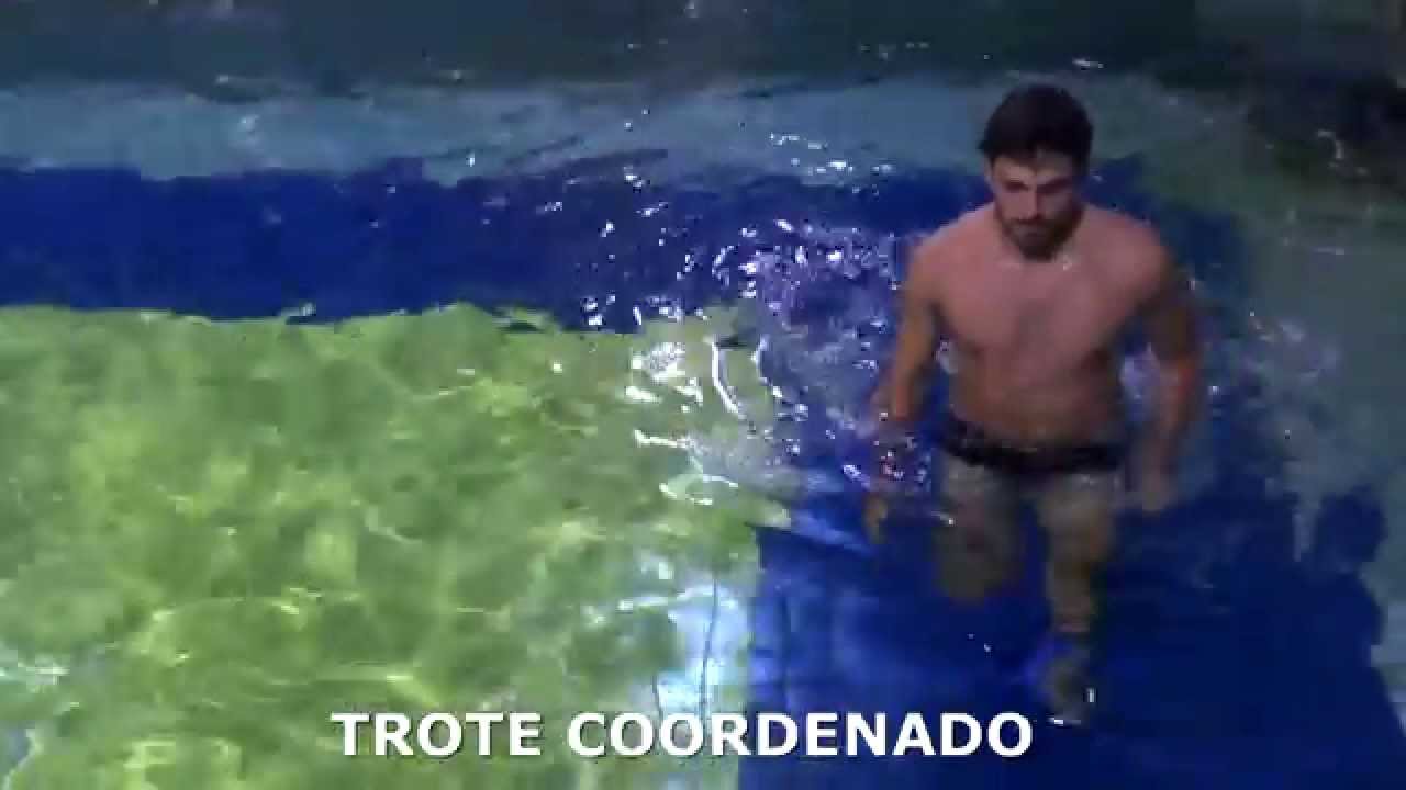 PROTOCOLO FISIO1 de HIDROCINESIOTERAPIA para MEMBROS INFERIORES