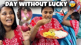 LUCKY இல்லாம சுத்தமா முடியல…🥹 | My Health Condition | Allu Loves Priya