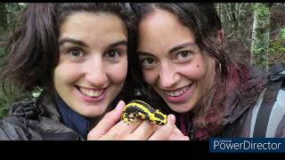 Faces of Andorrans-Iberians