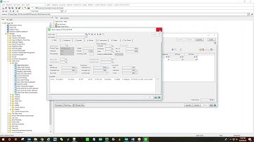 Sage 100 (MAS 90/200) VB Script Preview Demo: Sales Order Entry and Invoice Entry GP