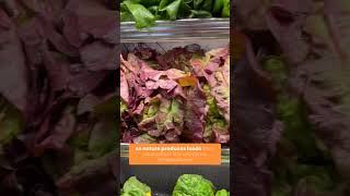 The best foods to eat this summer according to Chinese medicine