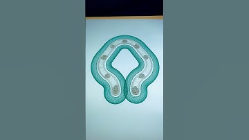 Swift Motion: The Elegant Symmetry of the Spirograph #spirographshr #spirograph #satisfying #asmr