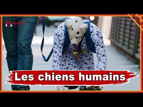 Vidéo: La laisse pour chien Zero Shock d'EzyDog absorbe les fentes, les tirettes et les coudes