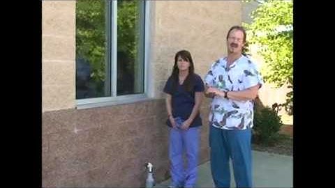 How to apply WindowAlerts to save wild birds