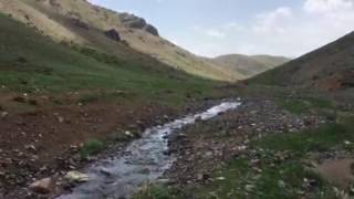 Erzurum karayazı