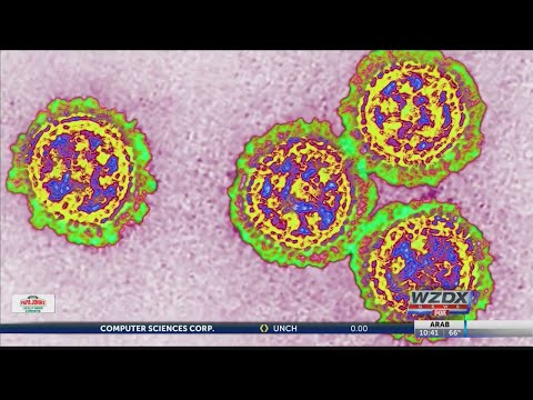 Researchers work to improve flu shot effectiveness