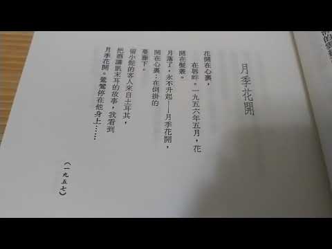 【讀詩】楊牧-月季花開