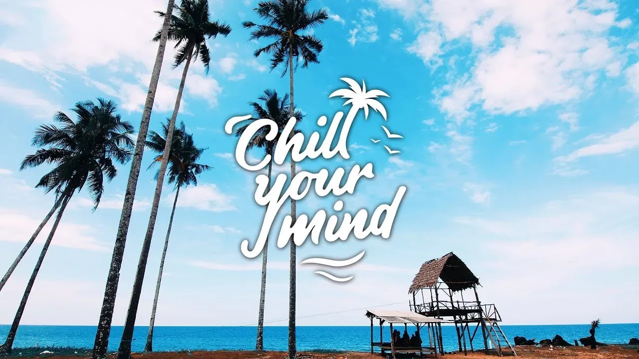 Steve Void & BEAUZ - Words (ft. Bri Tolani)