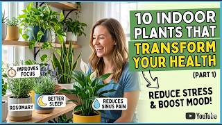 10 Indoor Plants That Transform Your Health Part 1
