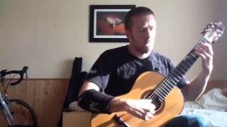 Video thumbnail of "Ausencias, Astor Piazzolla Guitar"