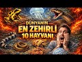 Dünyanın En Zehirli 10 Hayvanı (Sonuncusu Tek Bir Dokunuşla Öldürüyor!)