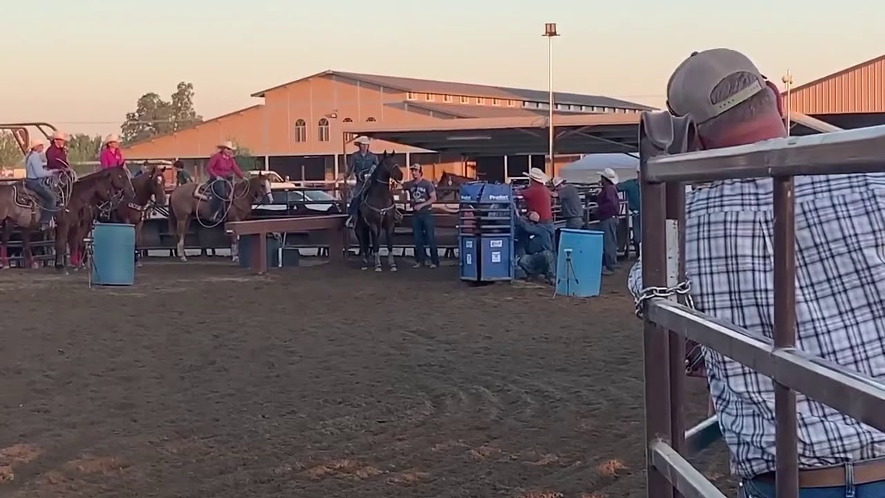 breakaway roping sled breakaway roping sled