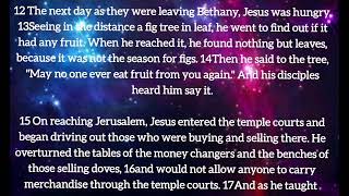 New Testament/MARK 11:1-33/Jesus Comes to Jerusalem as King/Jesus Curses a Fig Tree and Clears...
