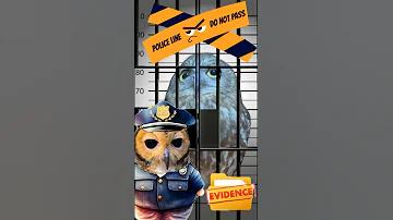 Detective Bibib!🕵️ #funnyanimals #owl #funnyvideo #funny #animals #cute #cuteanimals #owls