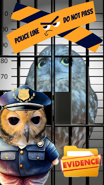 Detective Bibib!🕵️ #funnyanimals #owl #funnyvideo #funny #animals #cute #cuteanimals #owls