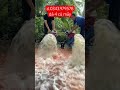 bơm trục xuyên 140