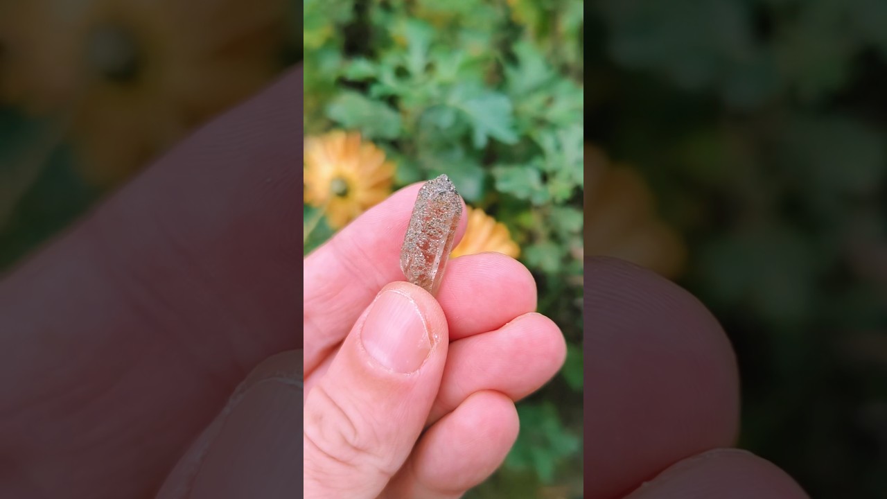 Дымчатый кварц с хлоритовым сланцем. М-ние Додо, Приполярный Урал. 