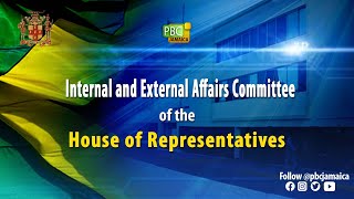Internal and External Affairs Committee of the House of Representatives  || May 21 2024
