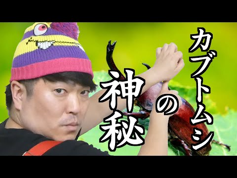 【GO!皆川 動物の神秘】カブトムシの神秘
