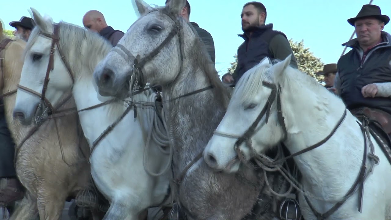 JOURNEE A LA MANADE LABOURAYRE EN HOMMAGE A FRANCIS LABOURAYRE DU SAMEDI 20 OCTOBRE 2021 A MEYNES