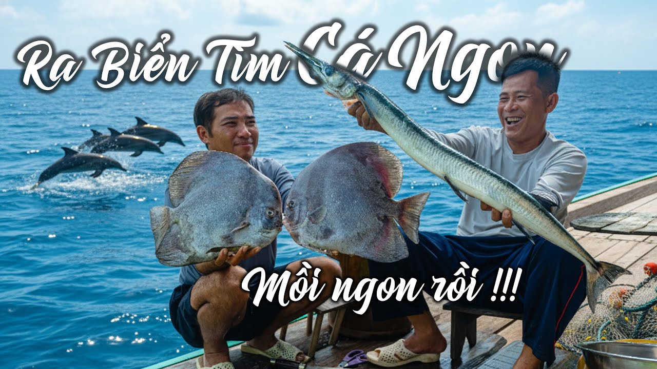 Ra Khơi Tìm Cá Ngon | Tập 36