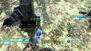 Dragon Nest rolling attack bug