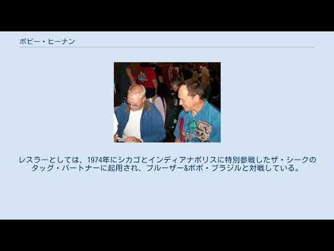 ボビー・ヒーナン YouTube