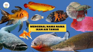 Belajar Mengenal Nama-Nama Ikan Air Tawar | Hewan Binatang | Bubuyaya | Edukasi Anak Balita Tk Paud