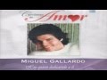 Miguel Gallardo - Canciones de Amor ( 25 Grandes Exitos)