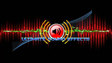 Censor Beep #1 [Ultimate Sound Effects]