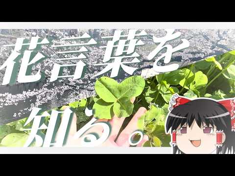 【母の日】愛知で春の花言葉知るだけの散歩～【ゆっくり実況】のサムネイル