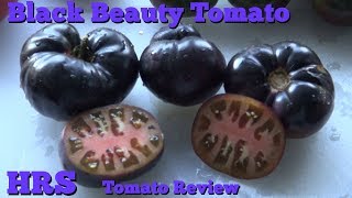 ⟹ Black Beauty Tomato, Solanum lycopersicum Tomato Review tomato