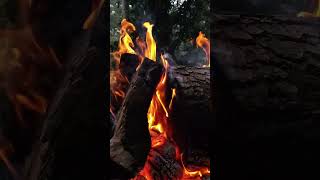 🔥Campfire 4K. Fireplace Ambience with Crackling Fire Sounds. Fireplace Burning 4K