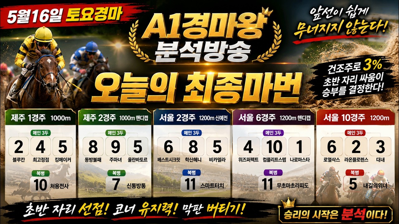 AI경마왕 토요경마 핵심브리핑 | 실전 데이터 기반 분석