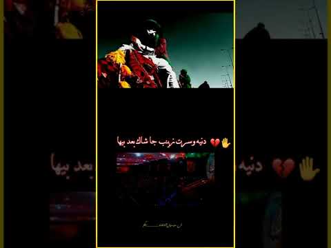 دنيه وسرت زينب تصاميم آل موسوي التنسو الاشتراك بل قناة ونستمر بل نشر 